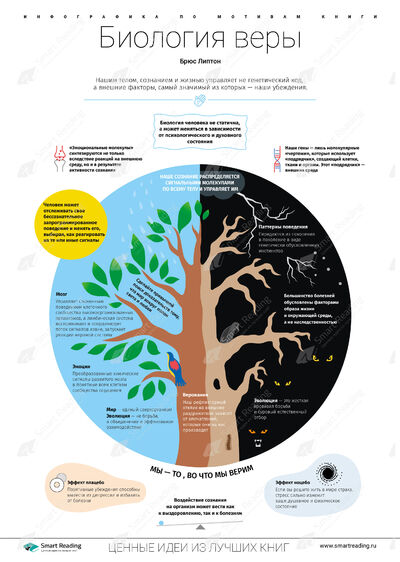 Инфографика для книги «Биология веры»