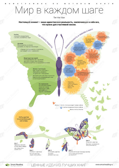 Инфографика для книги «Мир в каждом шаге»