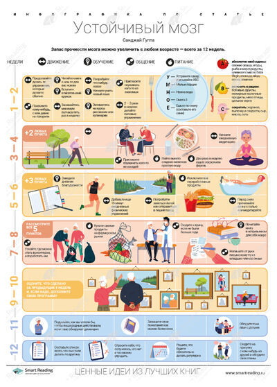 Инфографика для книги «Устойчивый мозг»