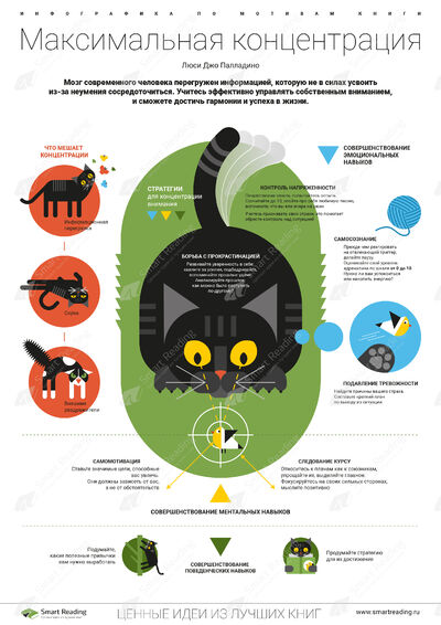 Инфографика для книги «Максимальная концентрация»