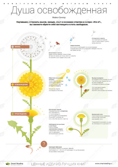 Инфографика для книги «Душа освобожденная»