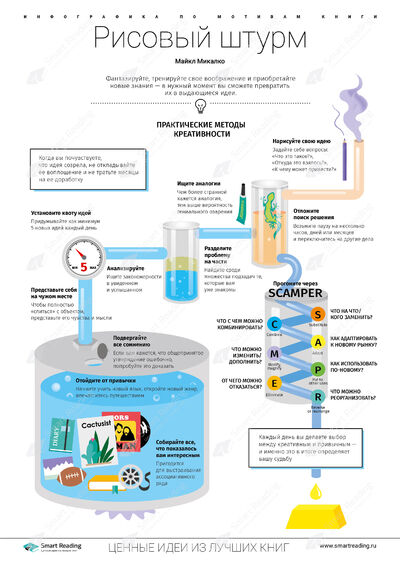 Инфографика для книги «Рисовый штурм»