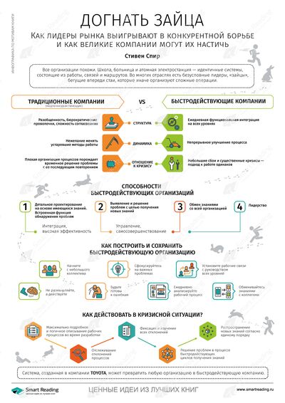 Инфографика для книги «Догнать зайца»